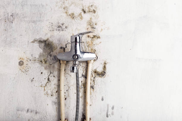 Best Mold Remediation for Schools in Merced, CA