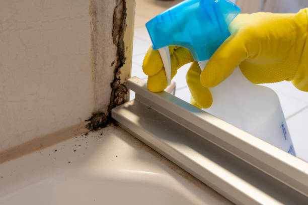 Professional Mold Remediation in Merced, CA