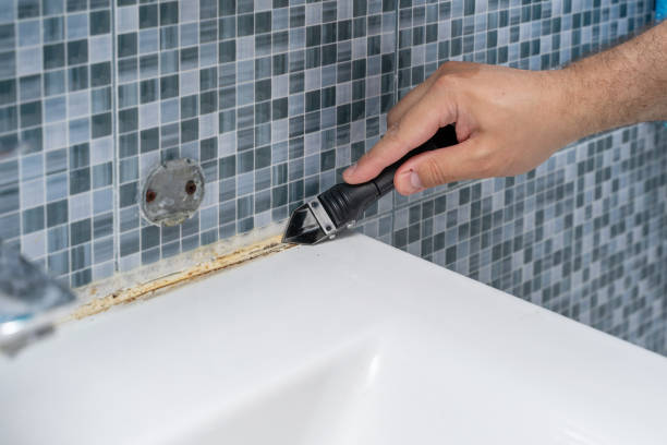 Best DIY Mold Remediation Support Services in Merced, CA