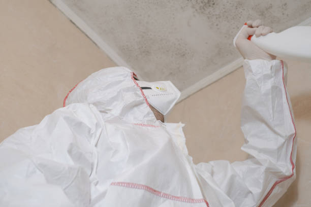 Best Emergency Mold Remediation in Merced, CA