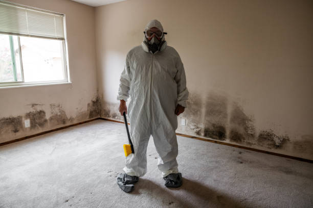 Best Emergency Mold Remediation in Merced, CA